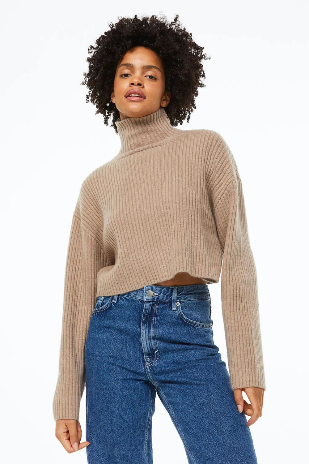 Ribbed Mock Turtleneck Sweater