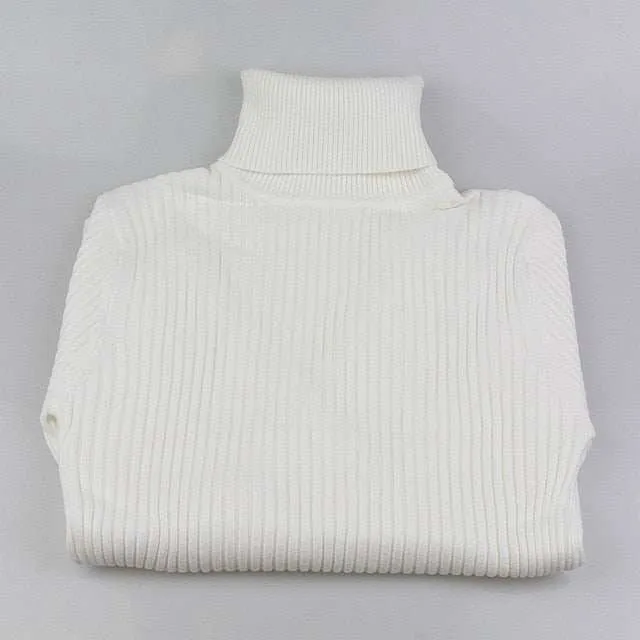 Women's Warm Thick Turtleneck Autumn Winter Sweater